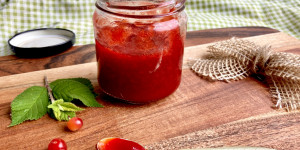 Beitragsbild des Blogbeitrags Prunus tomentosa (Filzkirsche) Rezepte und Pflanzenportrait