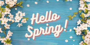 Beitragsbild des Blogbeitrags Hello Spring! Blühende Frühlingsgefühle