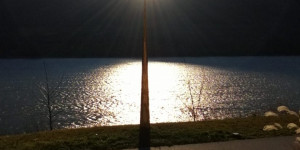 Beitragsbild des Blogbeitrags Pallas Athene und der goldene Spitz von Spitz