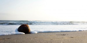 Beitragsbild des Blogbeitrags MOMENTAUFNAHMEN AUS BALI