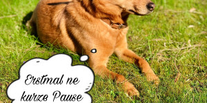 Beitragsbild des Blogbeitrags  “Pause” - für mich die Wichtigste Vorlage (Stopkonzept) 