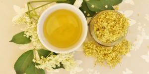 Beitragsbild des Blogbeitrags Holunderblüten trocknen – gesunder, aromatischer Tee