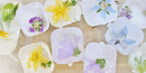 Beitragsbild des Blogbeitrags Blüten-, Kräuter-, Beeren-Eiswürfel DIY 