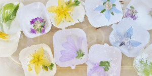 Beitragsbild des Blogbeitrags Blüten-, Kräuter-, Beeren-Eiswürfel DIY