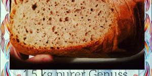Beitragsbild des Blogbeitrags „Der Mischling“