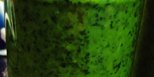 Beitragsbild des Blogbeitrags Bärlauch-Pesto