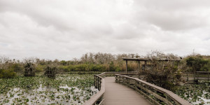 Beitragsbild des Blogbeitrags Everglades Nationalpark Florida: Die besten Tipps, Touren & Highlights 