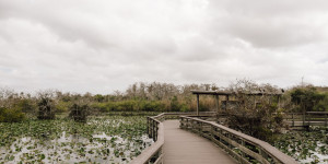 Beitragsbild des Blogbeitrags Everglades Nationalpark Florida: Die besten Tipps, Touren & Highlights