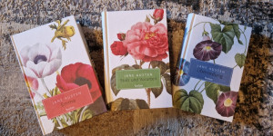 Beitragsbild des Blogbeitrags Jane Austen und ihre Romane