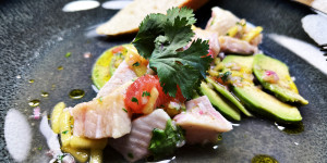 Beitragsbild des Blogbeitrags Zitrus Ceviche