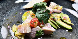 Beitragsbild des Blogbeitrags Zitrus Ceviche 