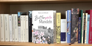 Beitragsbild des Blogbeitrags Bittersüße Mandeln von Hanna von Feilitzsch