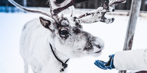Beitragsbild des Blogbeitrags 16 besten Ziele für Reisen in den Weihnachtsferien