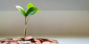 Beitragsbild des Blogbeitrags Festgeld für 10 Jahre: 5 Top Konten im Jahr 2023 