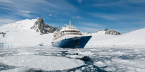 Beitragsbild des Blogbeitrags 17 besten deutschsprachigen Antarktis Kreuzfahrten 