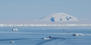 Beitragsbild des Blogbeitrags Wie komme ich in die Antarktis? 