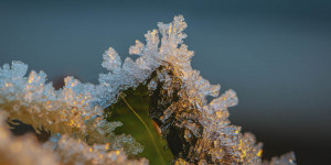 Beitragsbild des Blogbeitrags Raureif