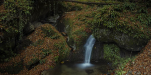 Beitragsbild des Blogbeitrags Bartlschlucht 