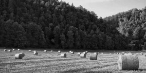 Beitragsbild des Blogbeitrags Monochrom in der Landschaftsfotografie