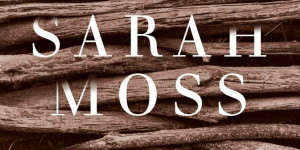 Beitragsbild des Blogbeitrags Rezension: Geisterwand von Sarah Moss