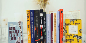 Beitragsbild des Blogbeitrags Bücher im Februar