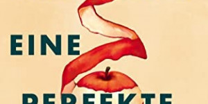 Beitragsbild des Blogbeitrags Rezension: Eine perfekte Familie von Liane Moriarty