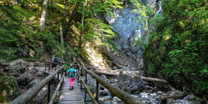 Beitragsbild des Blogbeitrags Rundweg zum Lainbach-Wasserfall – mit Kind 