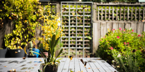 Beitragsbild des Blogbeitrags Deinen Gartenraum in 3 Schritten gestalten