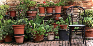 Beitragsbild des Blogbeitrags Einen Topfgarten anlegen? 7 gute Gründe