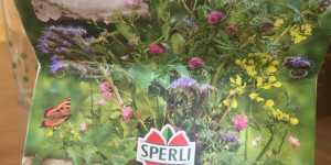 Beitragsbild des Blogbeitrags Gründünger: Balsam für den Boden