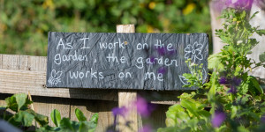 Beitragsbild des Blogbeitrags Gartenkonzept für den Balkon: deine ersten Schritte
