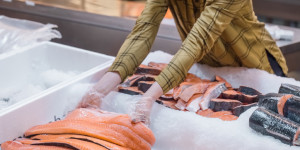 Beitragsbild des Blogbeitrags #08 Wie wir unseren Fischkonsum nachhaltiger gestalten können UND warum das wichtig ist. Interview mit Meeresbiologe Axel Hein (WWF Österreich)