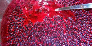 Beitragsbild des Blogbeitrags Waldheidelbeeren MARMELADE und LIKÖR