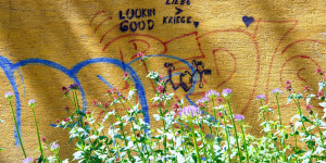 Beitragsbild des Blogbeitrags Immer noch kühl für die Jahreszeit