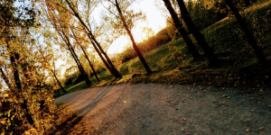 Beitragsbild des Blogbeitrags Gestohlene Zeit