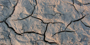 Beitragsbild des Blogbeitrags Hilflosigkeit