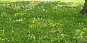 Beitragsbild des Blogbeitrags Alternde Held*innen