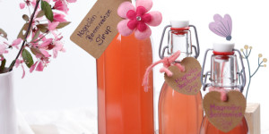 Beitragsbild des Blogbeitrags Magnolien-Sirup
