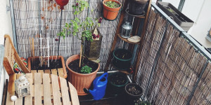 Beitragsbild des Blogbeitrags Imbolc und der Balkongarten im Februar
