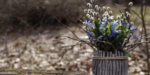 Beitragsbild des Blogbeitrags Ostara, die Frühjahrstagundnachtgleiche oder einfach nur den Frühlingsbeginn feiern 