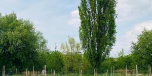 Beitragsbild des Blogbeitrags Im Mai ist Saisonbeginn für Pflückgärtner