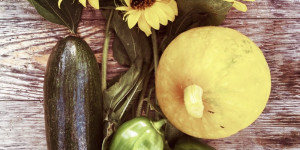 Beitragsbild des Blogbeitrags Gemüse vom Feld – die letzte große Ernte steht bevor 