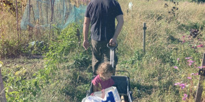Beitragsbild des Blogbeitrags Abschließende Impressionen vom Feld – Kartoffeln, Pastinaken und Lauch