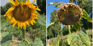 Beitragsbild des Blogbeitrags Die Kraft der Sonne für kalte Wintertage einfangen