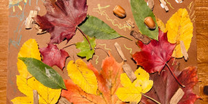 Beitragsbild des Blogbeitrags Herrlicher Herbstnachmittag im Wiener Dehnepark