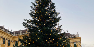Beitragsbild des Blogbeitrags Noch schnell zum Weihnachtsmarkt