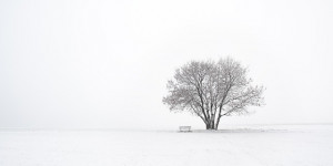 Beitragsbild des Blogbeitrags Frau Holle, die uralte Gabenbringerin