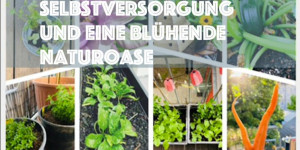 Beitragsbild des Blogbeitrags Neuerscheinung: „Mein Balkongartenjahr – Anregungen für die urbane Selbstversorgung und eine blühende Naturoase“