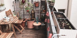 Beitragsbild des Blogbeitrags Den Balkon für die urbane Selbstversorgung nutzen?
