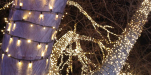 Beitragsbild des Blogbeitrags Gestern beim Wiener Eistraum